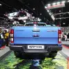 Raptor (6)